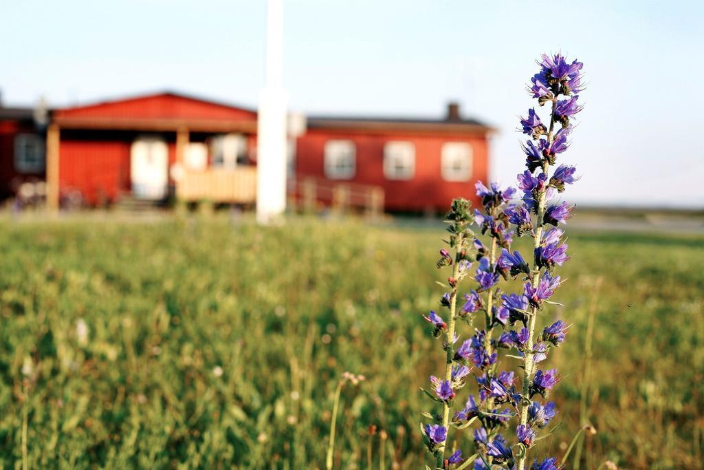 Stf Bunge Hostel Fårösund Dış mekan fotoğraf